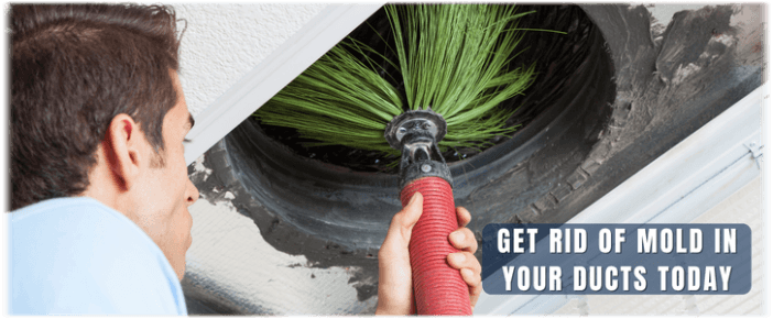 Air Duct Mold Removal in Torrance