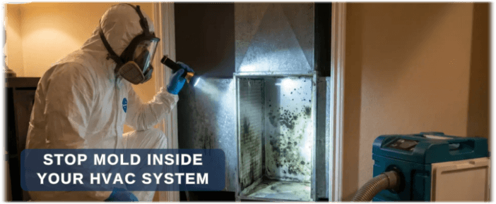 HVAC Mold Removal Torrance